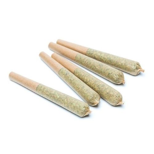Hazy Mary Diamond Prerolls (2.5g)