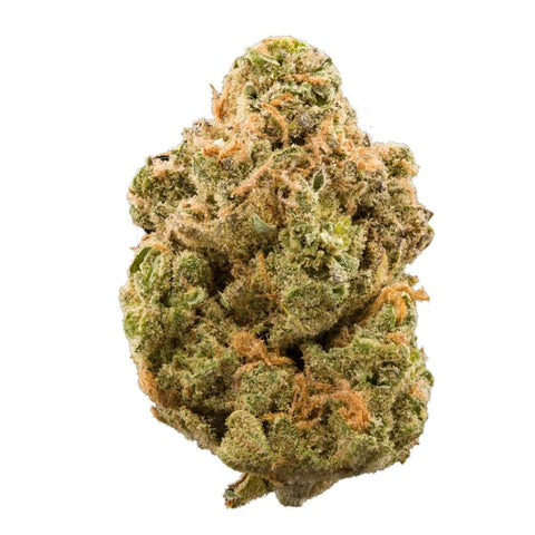 Sativa-Hybrid | Black Currant Shake