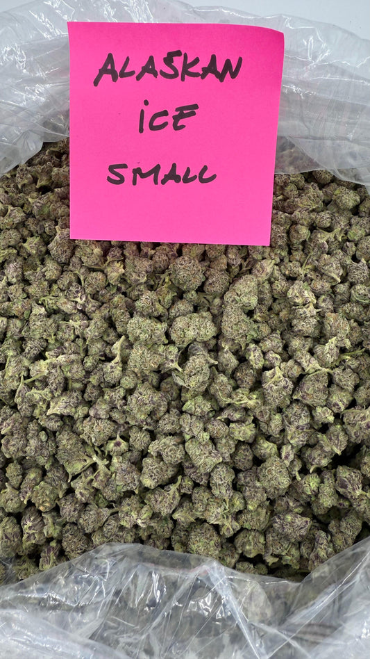 Hybrid | Alaska Ice Cream THCa Flower | Indoor Smalls
