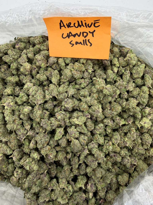 Hybrid | Archive Candy | Indoor