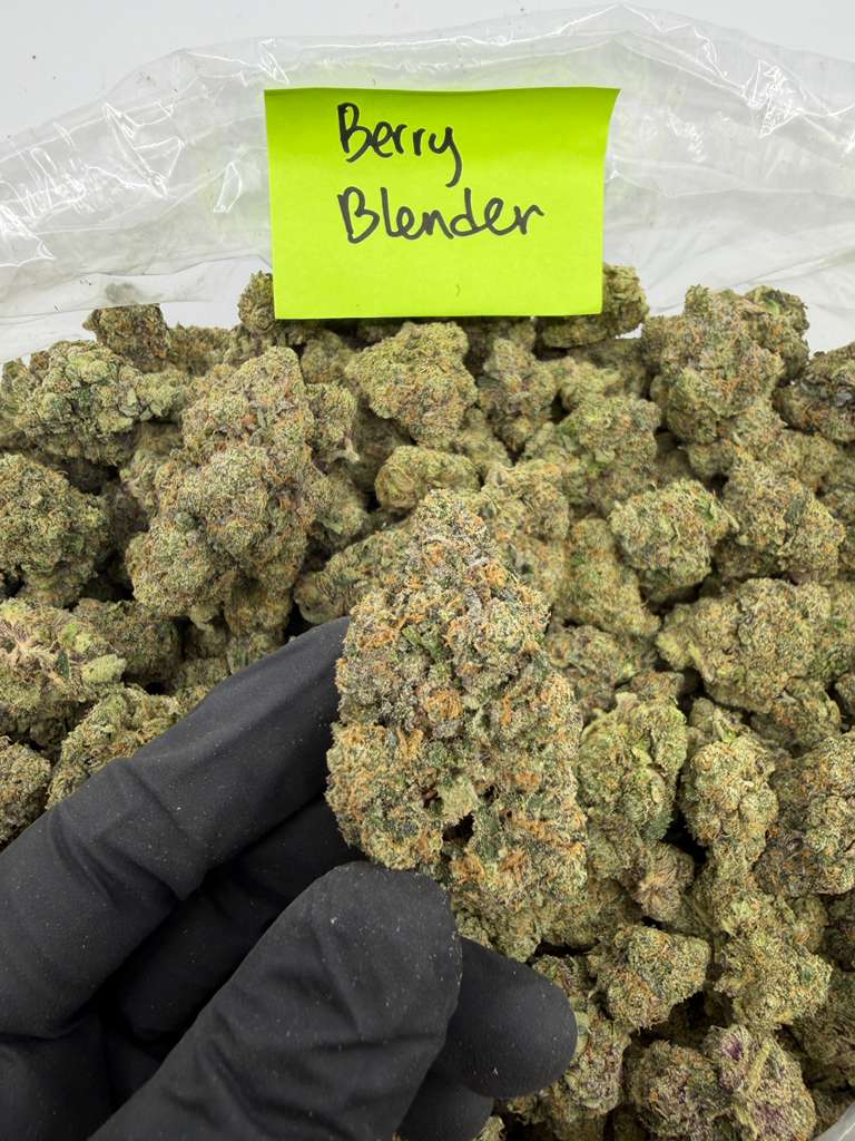 Hybrid | Berry Blender THCa Flower | Light Assist