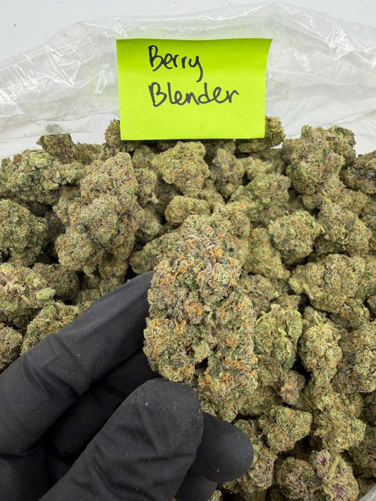Hybrid | Berry Blender THCa Flower | Light Assist