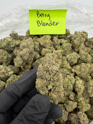 Hybrid | Berry Blender THCa Flower | Light Assist