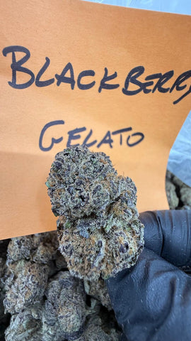 Hybrid | Blackberry Gelato THCa Flower| Exotic
