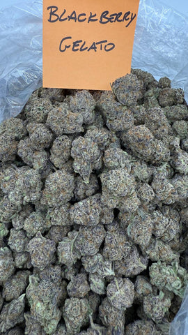 Hybrid | Blackberry Gelato THCa Flower| Exotic