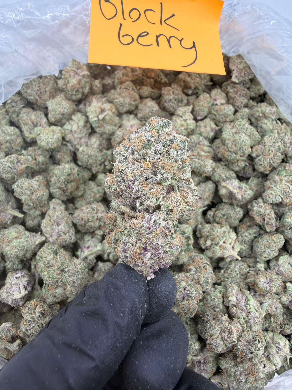 Hybrid | BlockBerry THCa Flower | Value Indoor