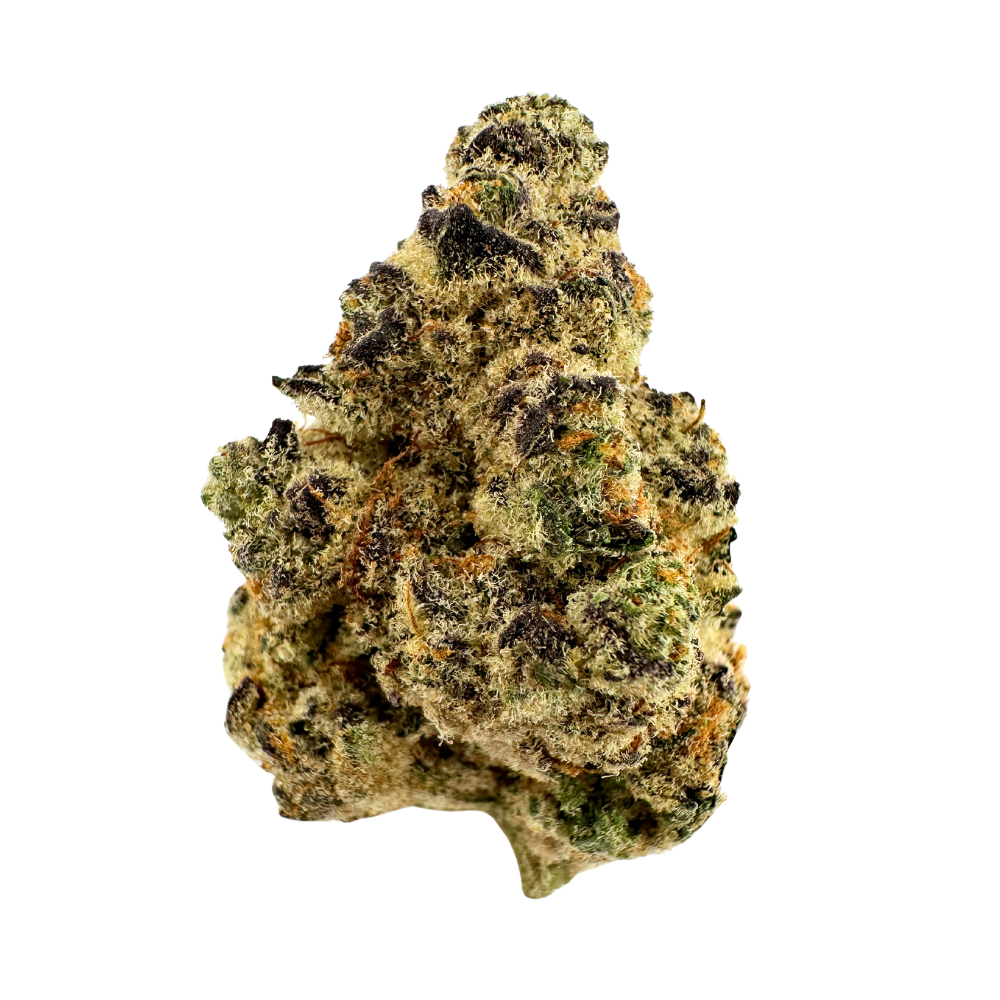 Sativa | Black Piranha | Indoor