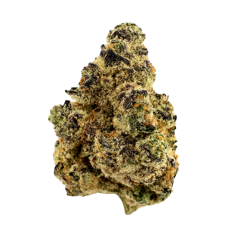 Sativa | Black Piranha | Indoor