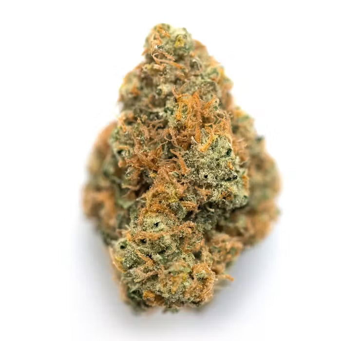 Hybrid | Permanent Gas | Indoor Smalls