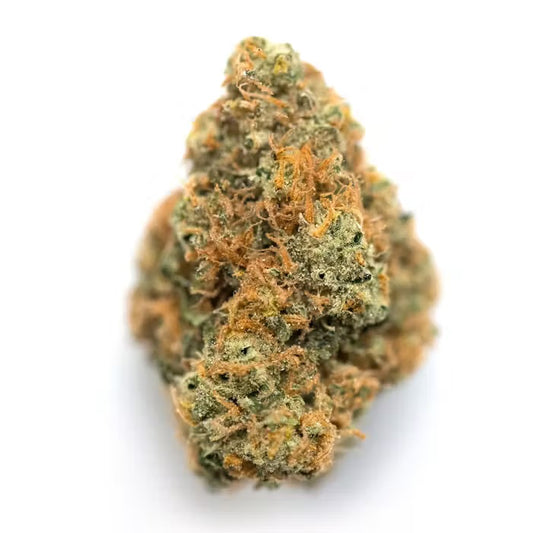 Hybrid | Permanent Gas | Indoor Smalls