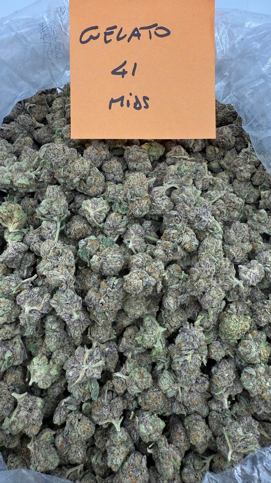 Indica | Gelato 41 THCa Flower | Exotic