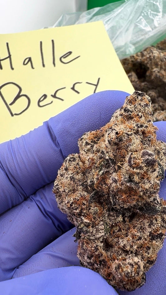 Hybrid | Halle Berry THCa Flower | Exotic