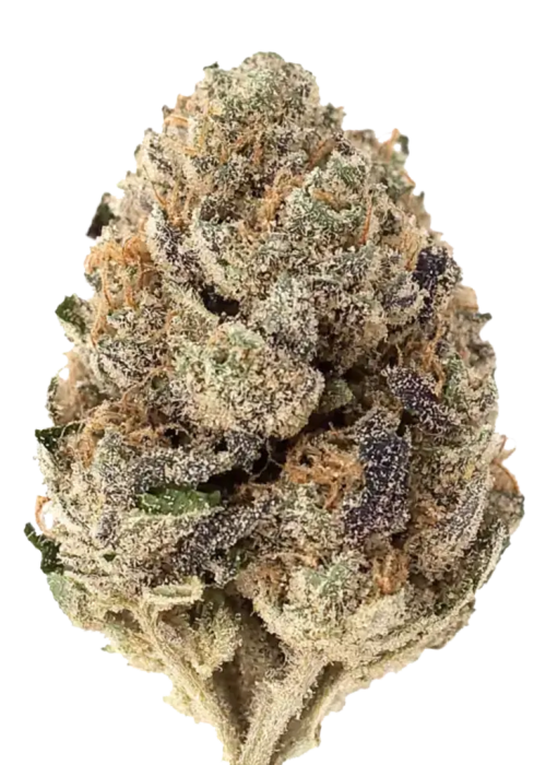Indica | Tote Candy THC Flower | Exotic