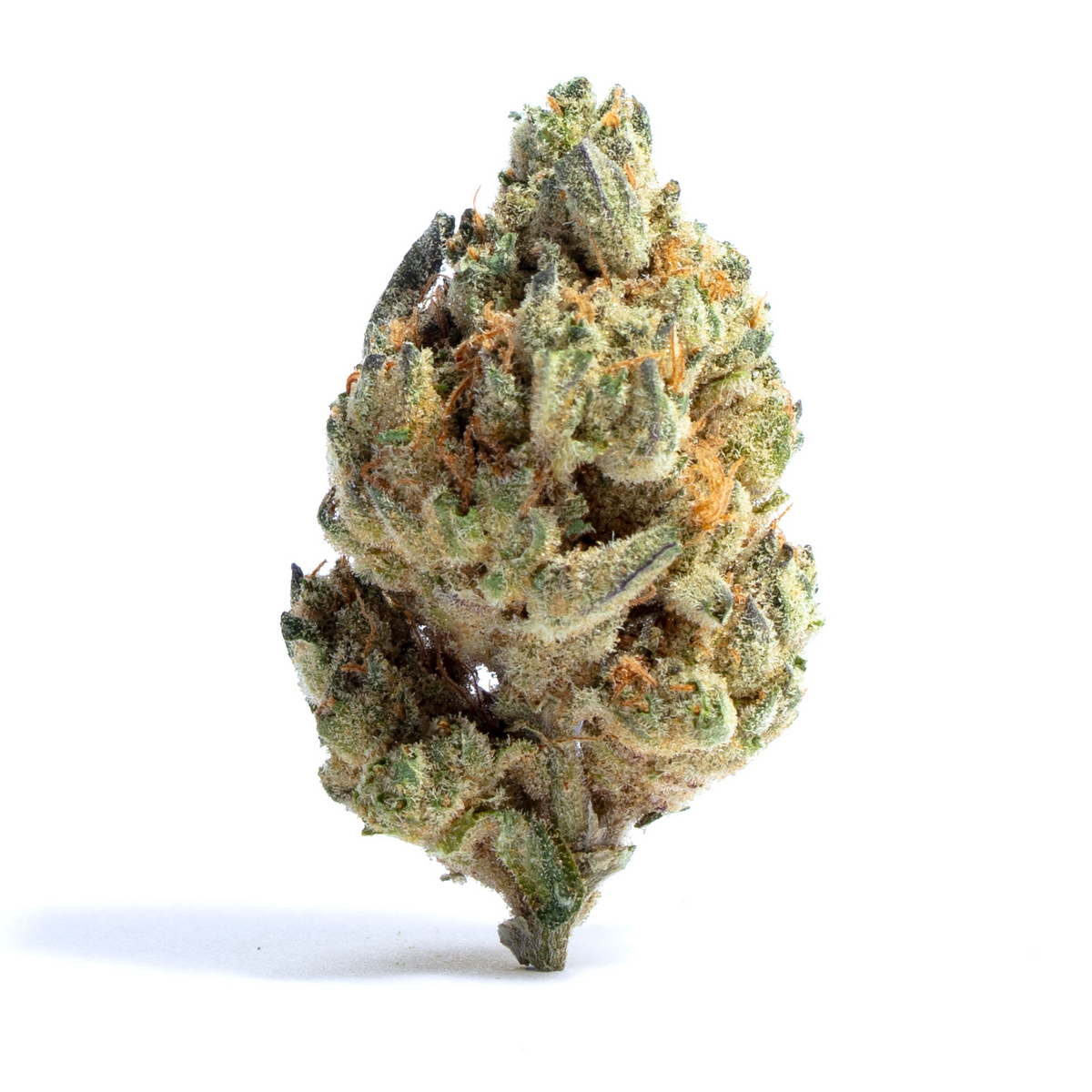 Hybrid | Banjo | Indoor THCa Flower | Exotic