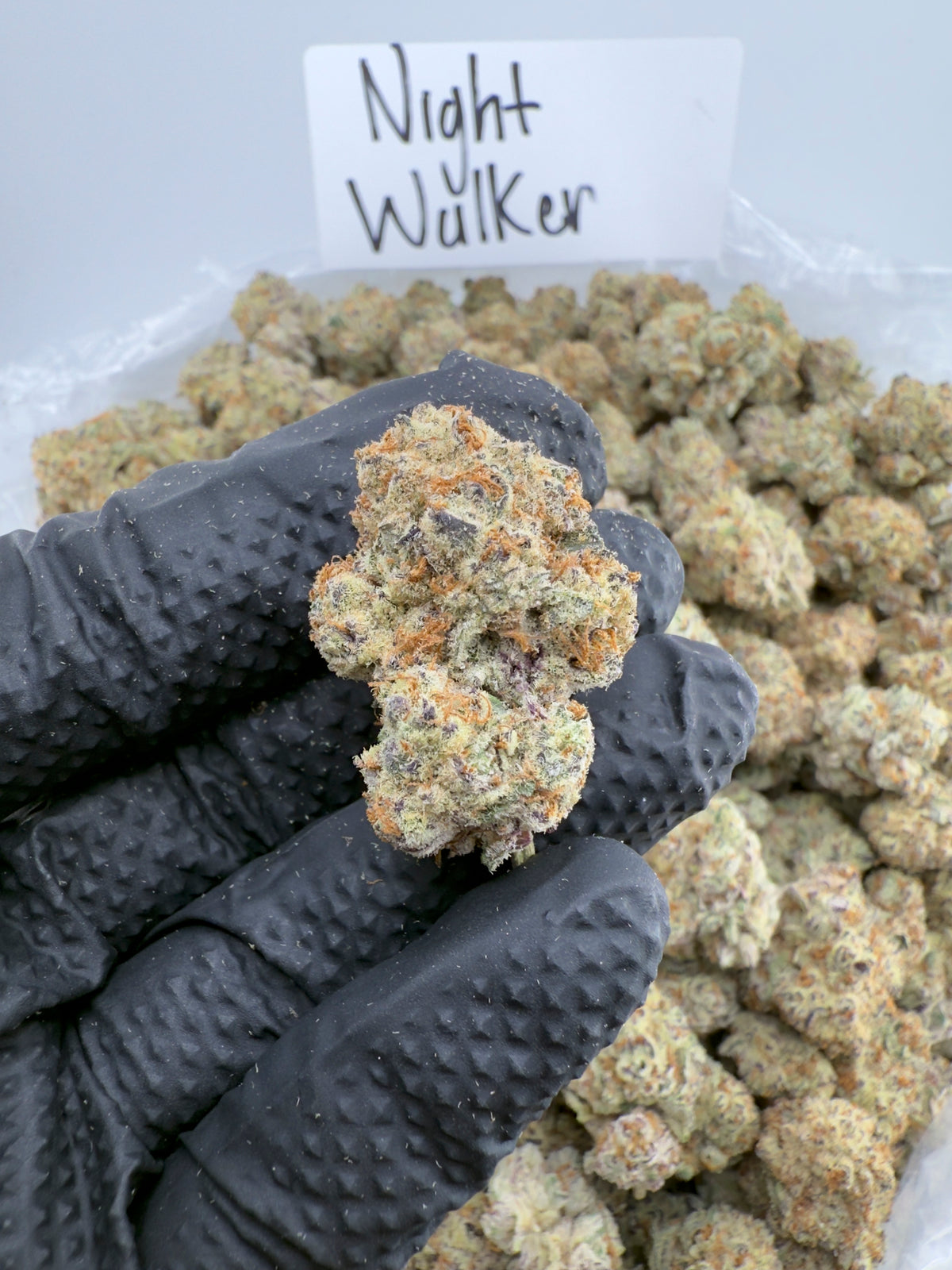 Indica | Night Walker THCa Flower | Exotic | Potency: 37.57%