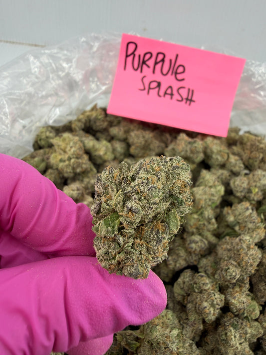 Indica | Purple Splash THC Flower | Exotic | Potency: 31.76% **NEW**