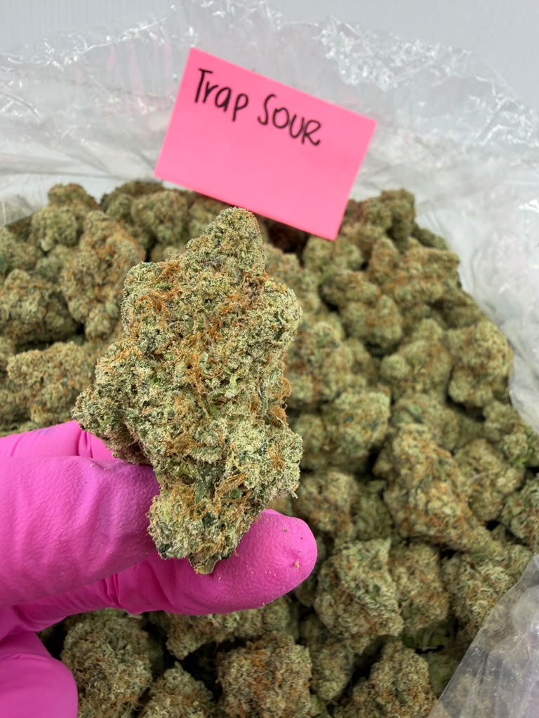 Sativa | Trap Sour THCa Flower | Exotic | Potency: 33.62% **NEW**
