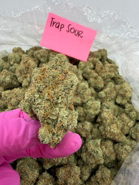 Sativa | Trap Sour THCa Flower | Exotic | Potency: 33.62% **NEW**