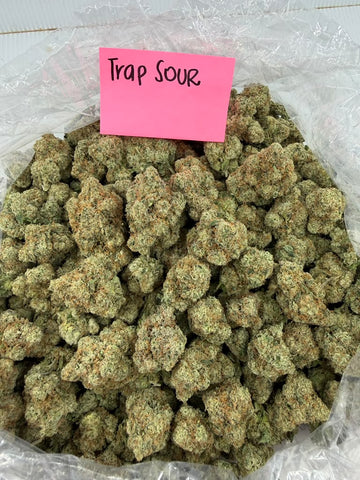 Sativa | Trap Sour THCa Flower | Exotic | Potency: 33.62% **NEW**