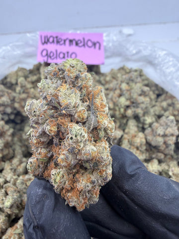 Indica | Watermelon Gelato THCa Flower | Exotic | Potency: 32.62% **NEW**