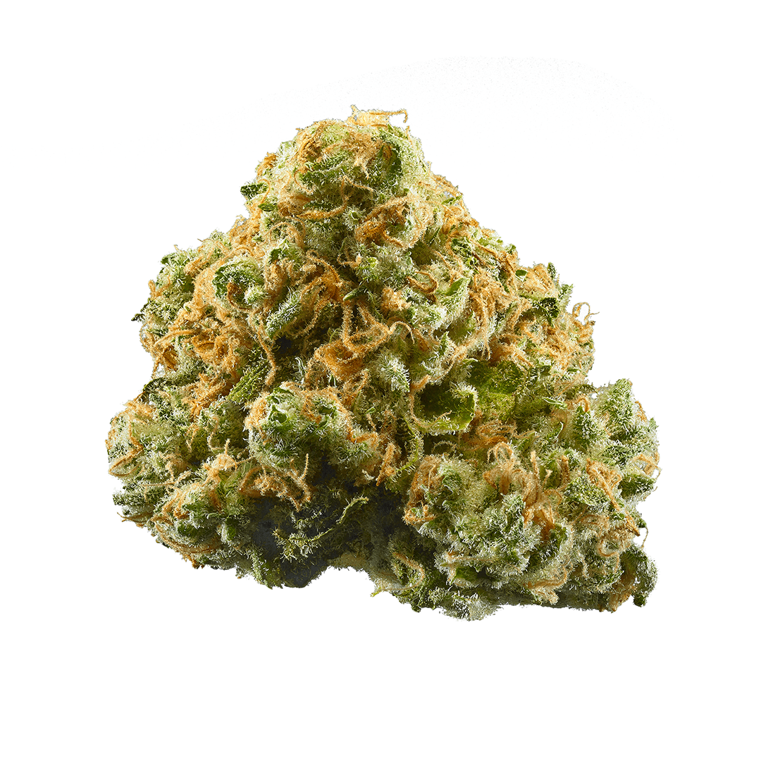 Indica | Trap Queen THC Flower | Exotic